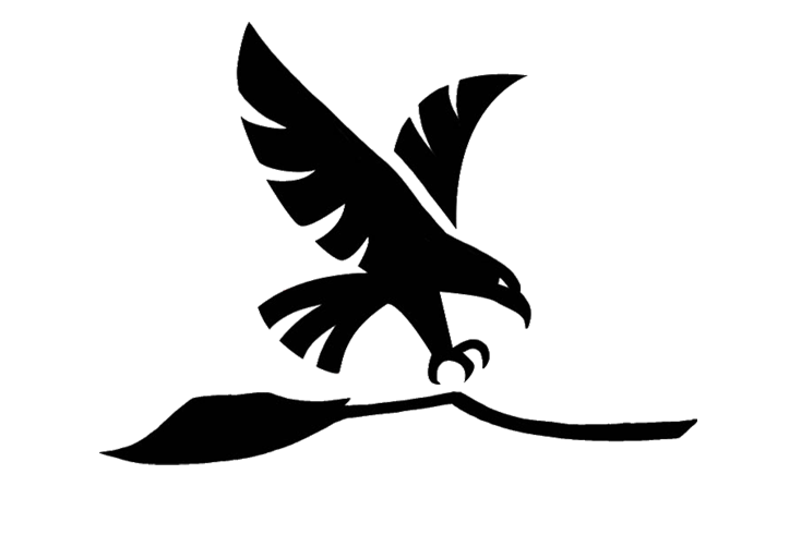frt-falcons-logo.png (72 KB)